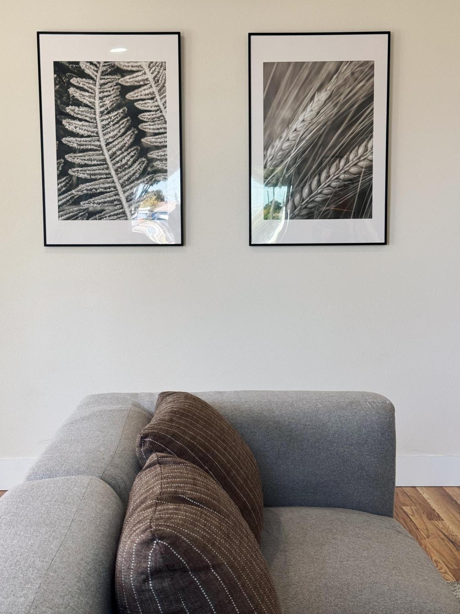 Séjour chez l'habitant Cozy Private D In S La Los Angeles